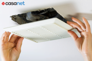 Fan-de-bain-montreal