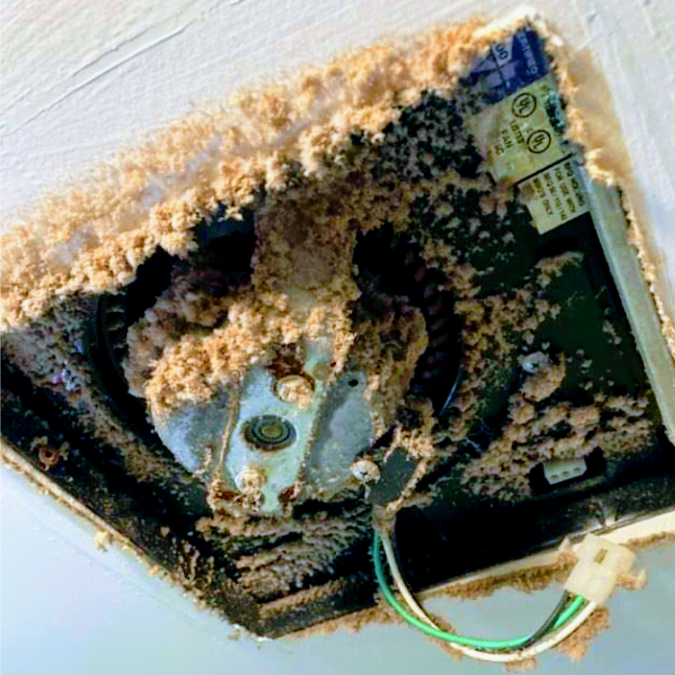 Approche professionnelle ramonage Boisbriand