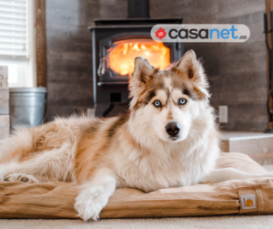 Engagement Casanet Ramonage Boucherville